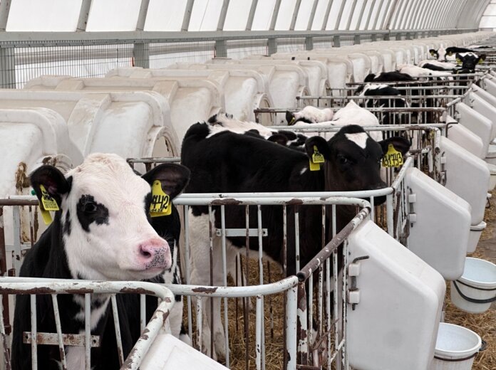    Фото: В курсе.ру