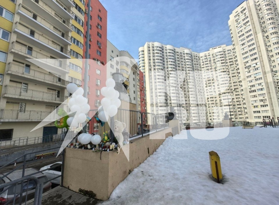    Сейчас следственные органы проводят проверку. Дарья ДОЛИНИНА