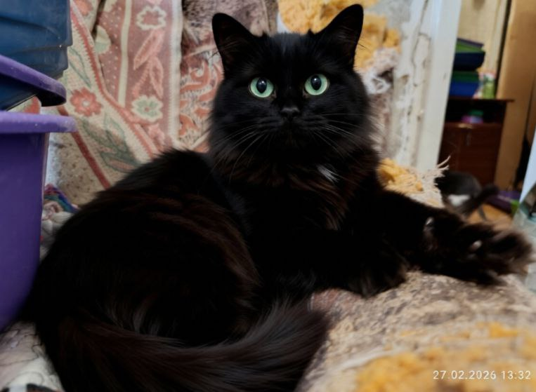 Клякса ждёт Вас!!!