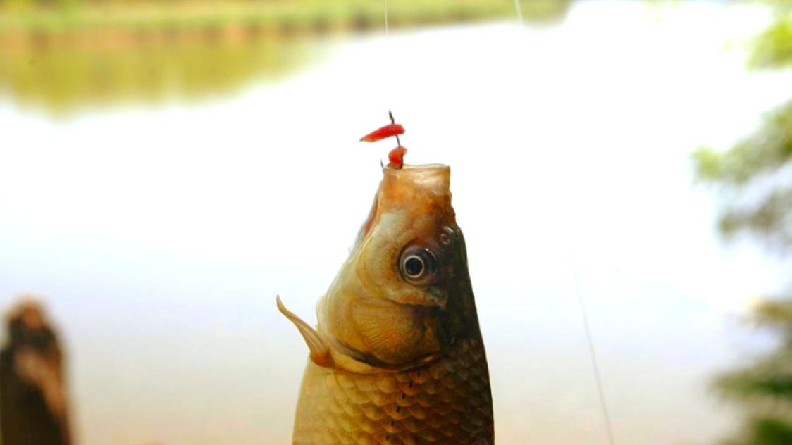 Крючок - важный элемент в оснастке