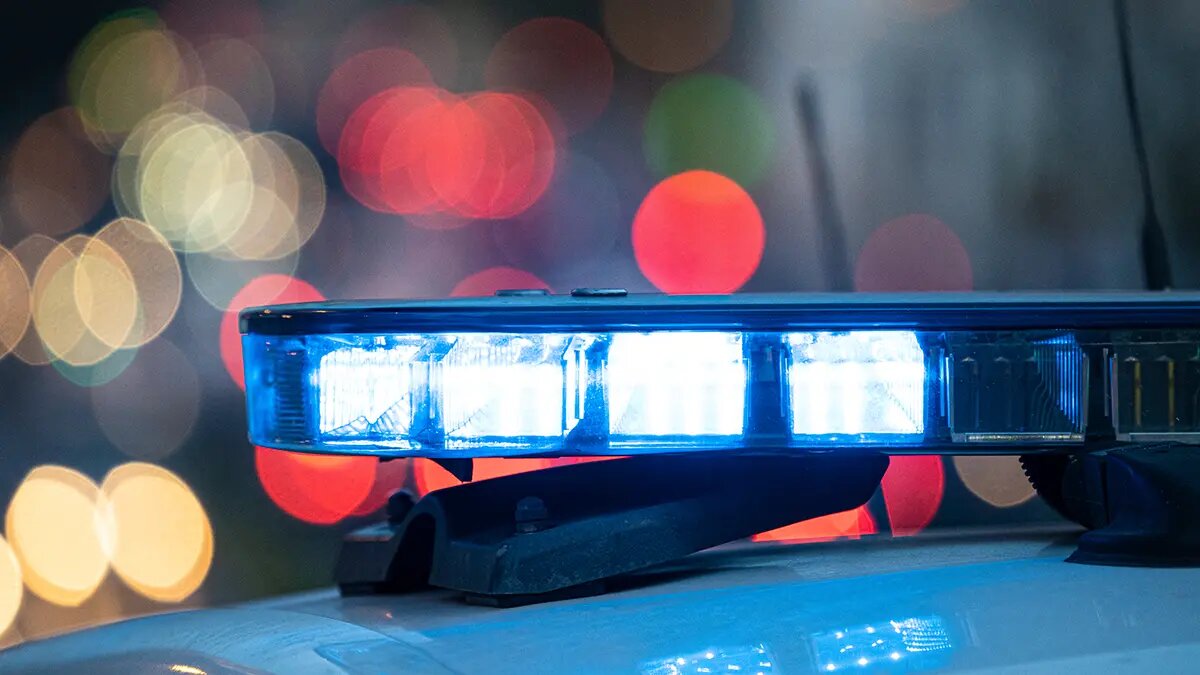    Источник: vm.ru/ Лев Гаврилов