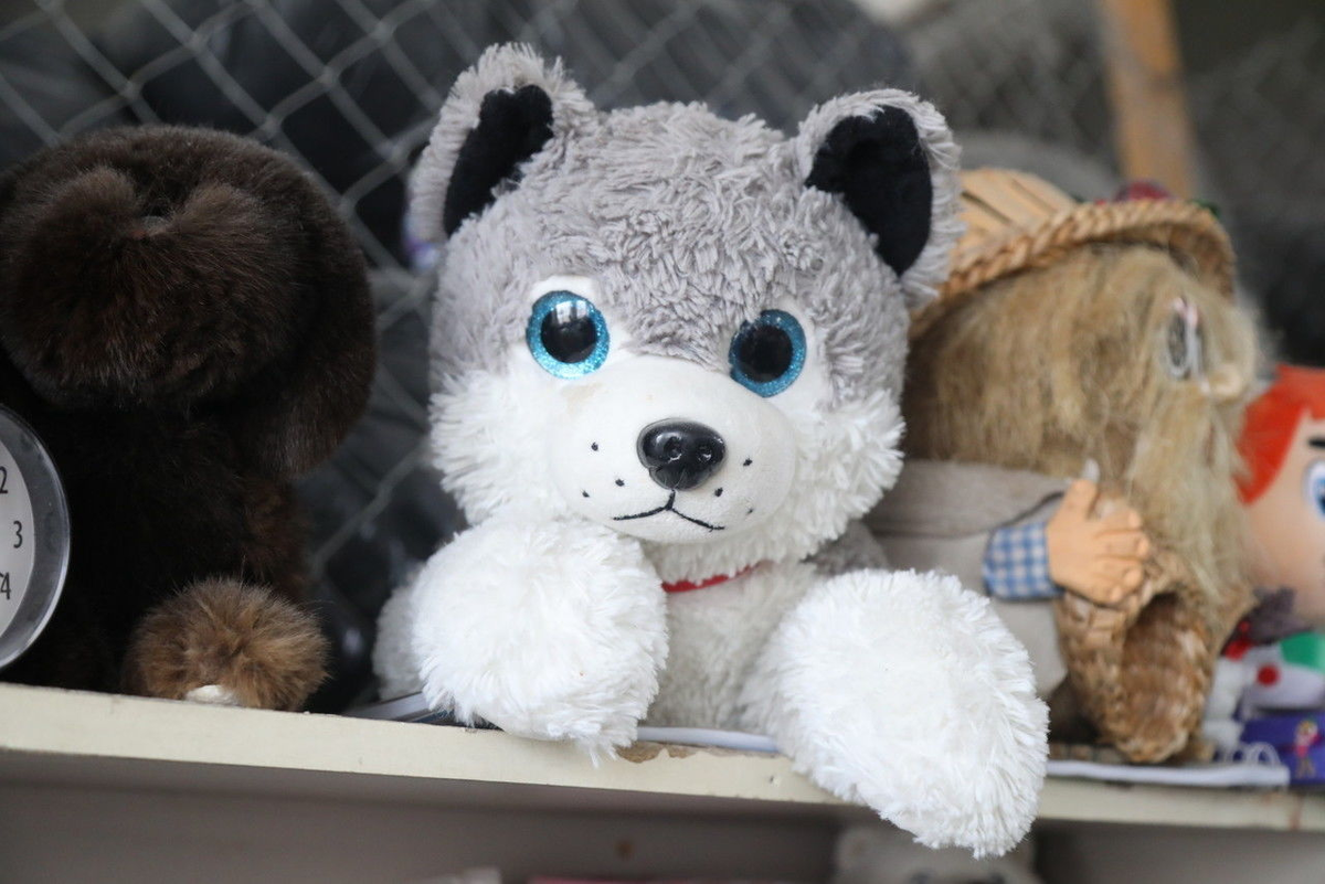 Роман Пименов / «Петербургский дневник»