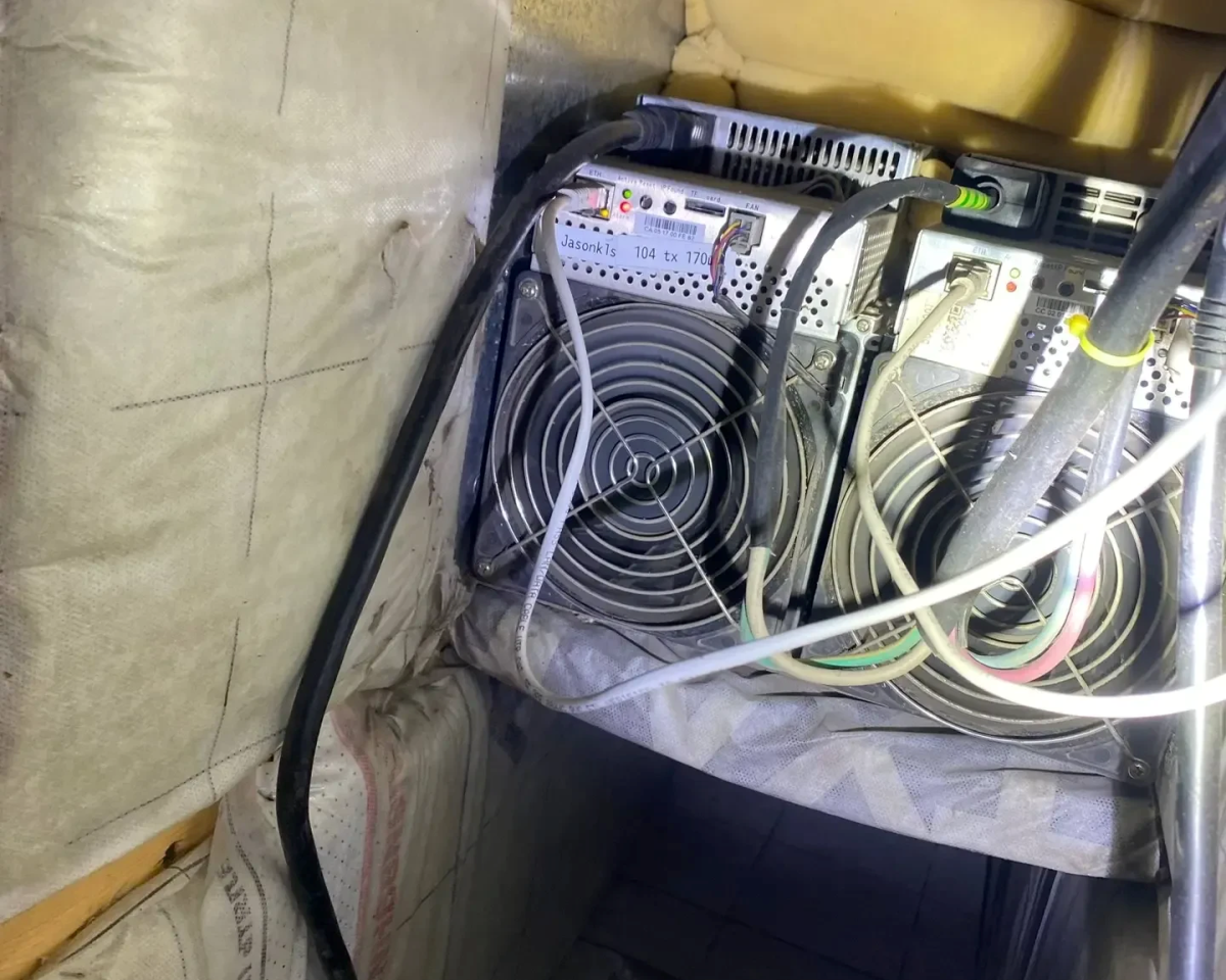 Фото: прокуратура Красноярского края