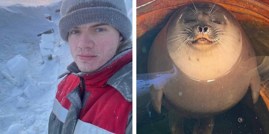 Метеоролог из Сочи рассказал о работе на мысе Челюскин и дружбе с нерпой