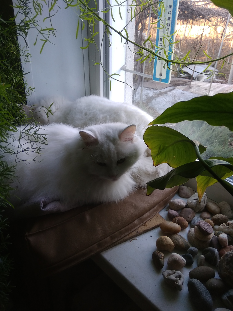 Снежана (на переднем плане), а Филя сзади