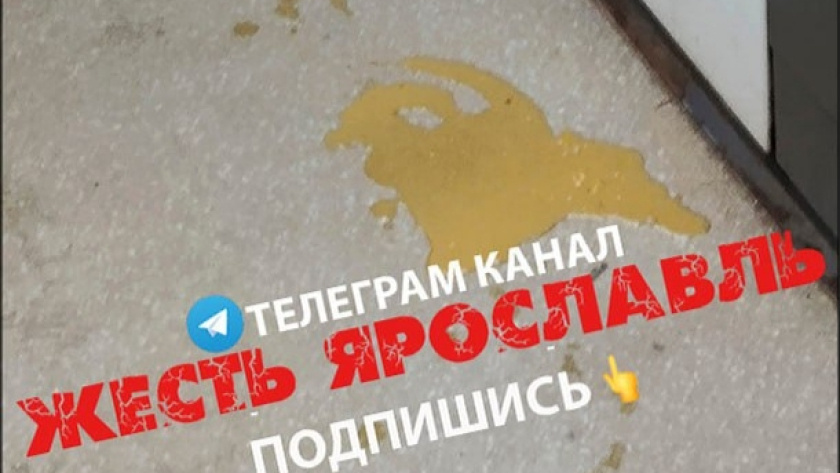    Жесть Ярославль