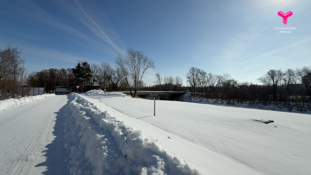 Кадр из программы "Вечерний хэштег"