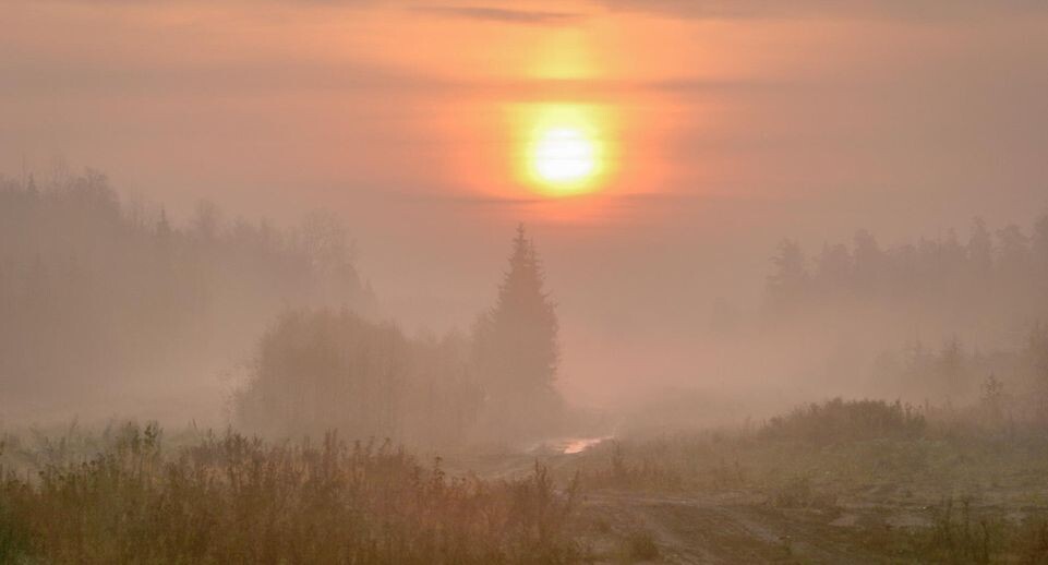    Sergey Metelitsa/Global Look Press / www.globallookpress.com