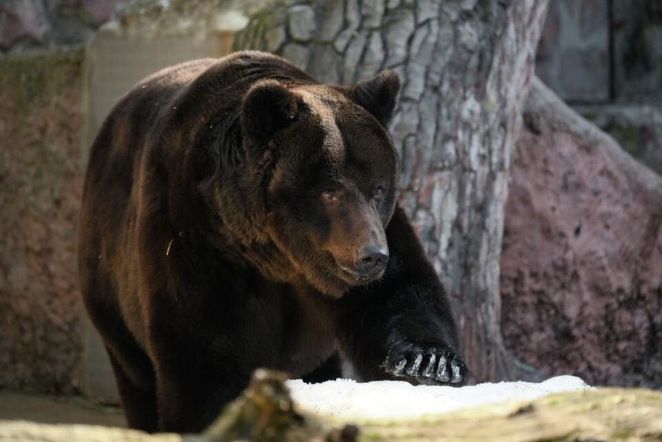    РИА «Новости»