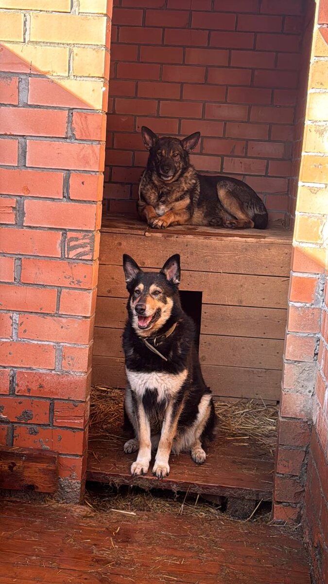 Лаврик и Мечта 