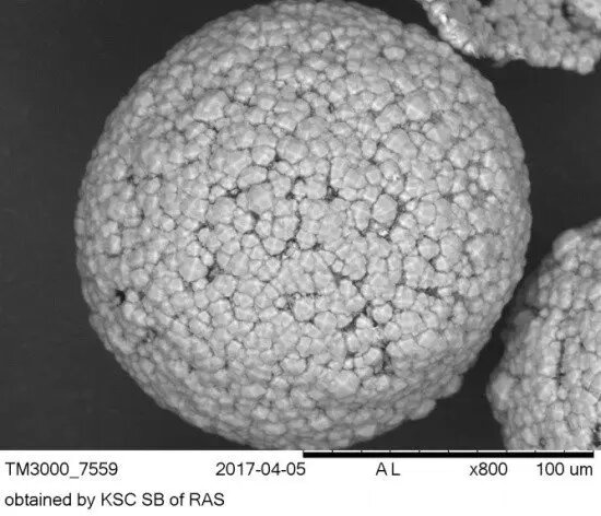    Источник: scientificrussia.ru Елена
