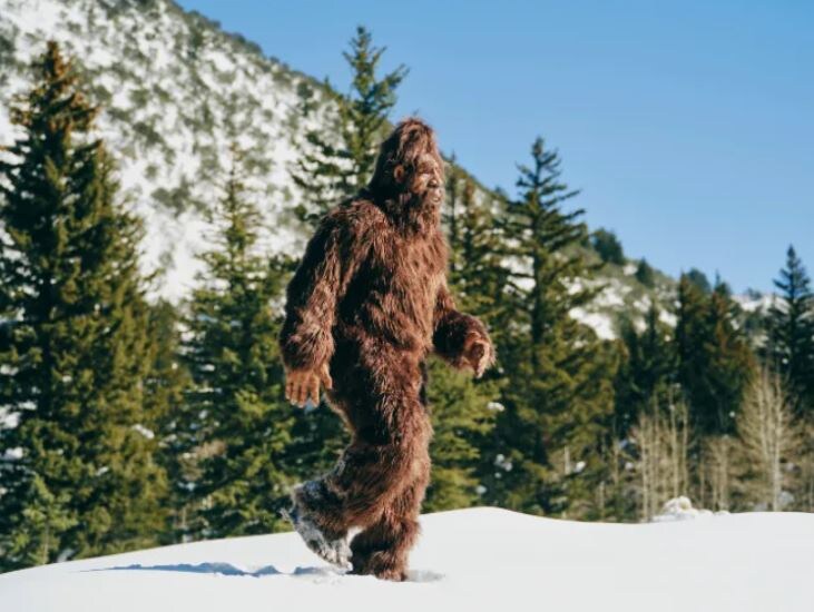 https://www.centreofexcellence.com/yeti-myths-and-sightings/