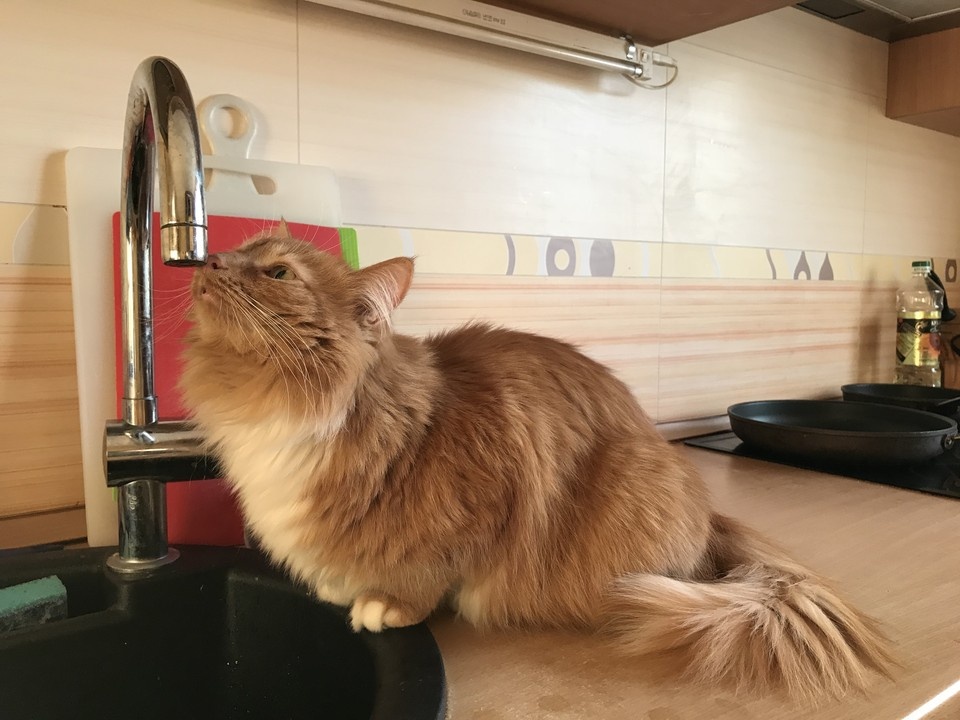    Воду в Кисловодске будут давать по графику. Дмитрий СМИРНОВ