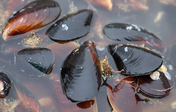 Сергей Мальгавко/ТАСС