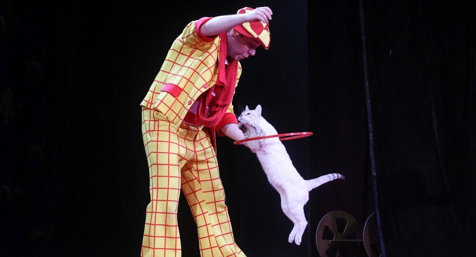    Petrov Sergey/news.ru / www.globallookpress.com