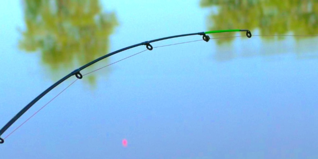 Как ловить на фидер для начинающих: 6 шагов от первого заброса до первого трофея