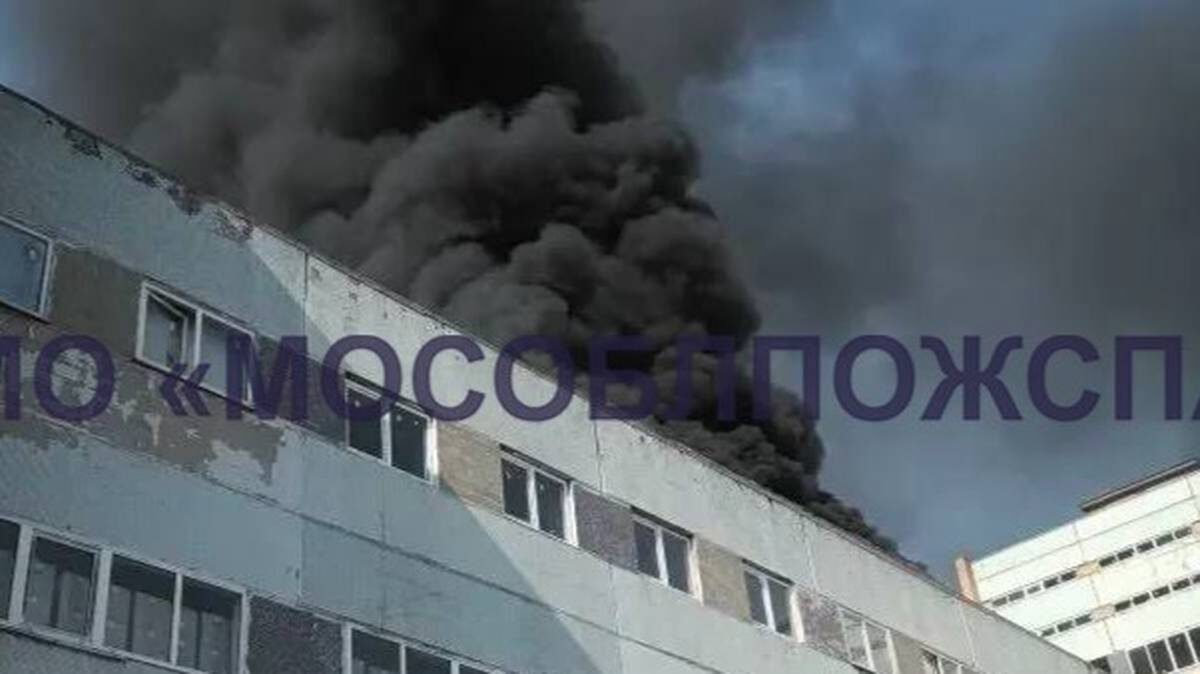    Фото: ГКУ МО «Мособлпожспас» / Telegram