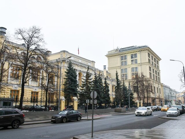    Фото: Москва 24/Никита Симонов