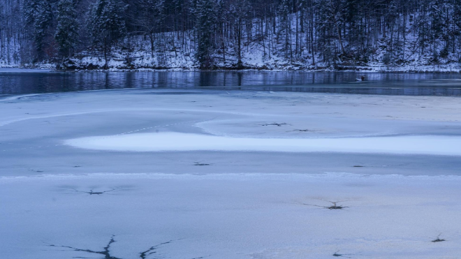 Фото: https://ru.freepik.com/free-photo/be-removed_27372581.htm#