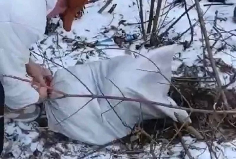 ЖЕСТОКОСТЬ ПОД ВЫВЕСКОЙ «ПЯТЕРОЧКИ»: КОШЕК В МЕШКЕ ВЫВЕЗЛИ НА СМЕРТЬ