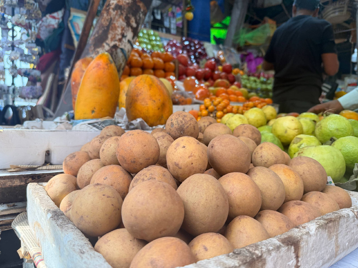 Спелый чику – мягкий как хурма. Твёрдые плоды горчат и вяжут во рту.
