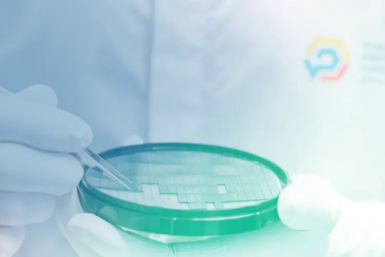    Источник: scientificrussia.ru Игорь Никольский