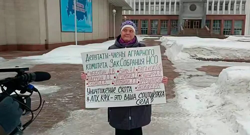 Потерявшую скот сибирячку задержали после жалобы на власти в прокуратуру