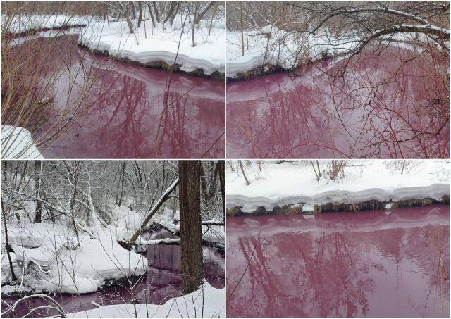 Источник сброса загрязнений в Сетунь не установлен!. Сообщает корреспондент "ЭкоГрада" Андрей Мельков