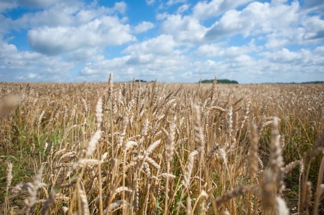   Фото из архива Калининград.Ru