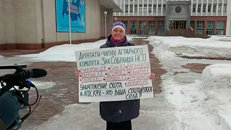 Потерявшую скот сибирячку задержали после жалобы на власти в прокуратуру