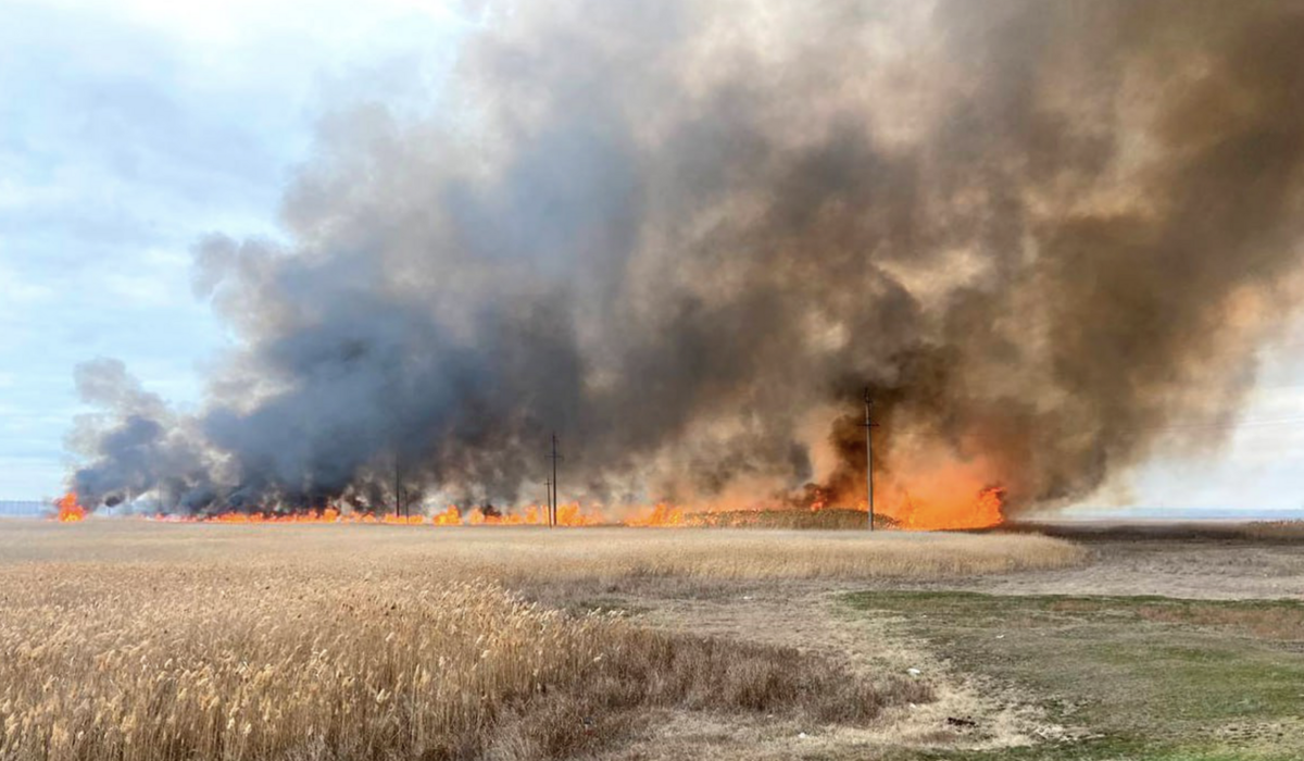    Фото: ГУ МЧС по Запорожской области