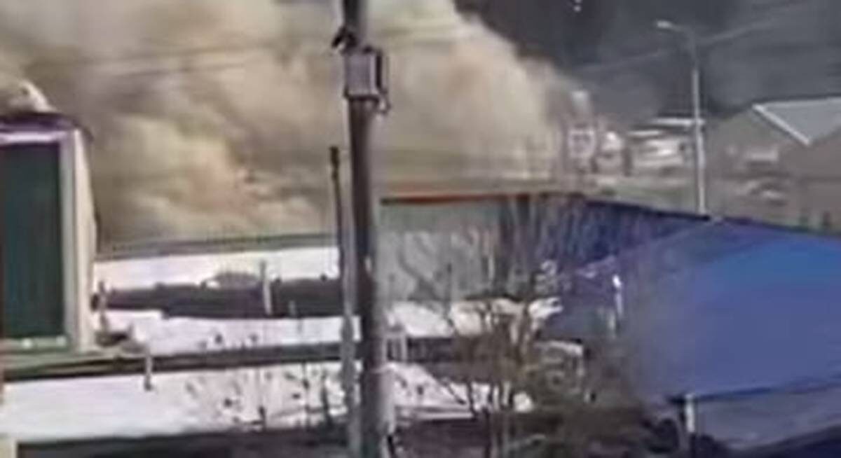    Фото: скриншот видео / АГН «Москва» / Telegram