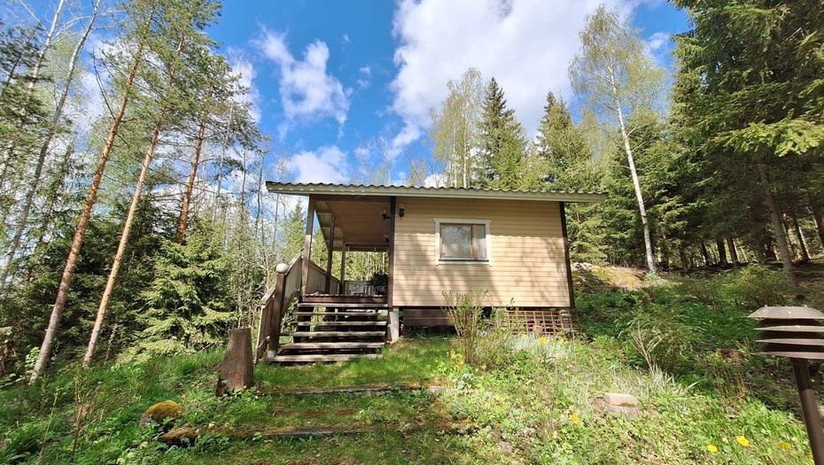    Один из летних домов, выставленных на продажу в Пункахарью, Финляндия. Автор фото: metsat.fi