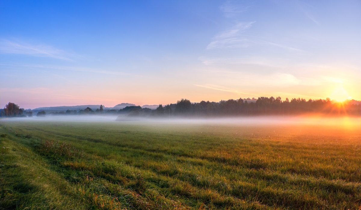 фото взято из открытого источника