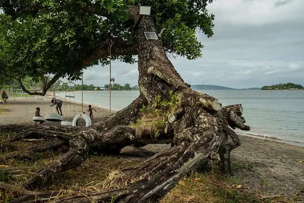    Источник: lenta.ru/ Лев Гаврилов