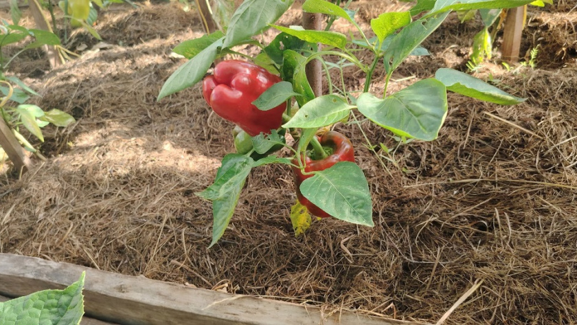    фото из архива редакции