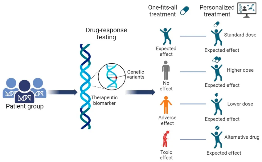 Концепция фармакогенетики/фармакогеномики: правильный препарат и правильная дозировка для конкретного пациента. На этой иллюстрации показаны принципы подбора дозировки лекарств на основе генетических данных. Раньше классические клинические алгоритмы рекомендовали всем один и тот же препарат или одну и ту же дозировку. Наблюдения показали, что у разных пациентов один и тот же препарат может действовать по-разному. Это может быть нормальный (ожидаемый) терапевтический эффект, отсутствие терапевтического эффекта, побочные или даже токсические эффекты в зависимости от генотипа пациента. Поэтому современные алгоритмы, основанные на фармакогеномике, рекомендуют корректировать дозировку препарата в соответствии с генотипом пациента.