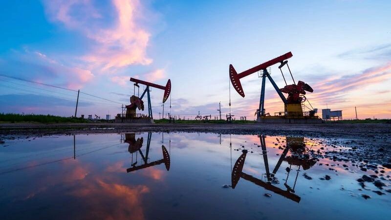    Фото: zhengzaishuru/Shutterstock/Fotodom