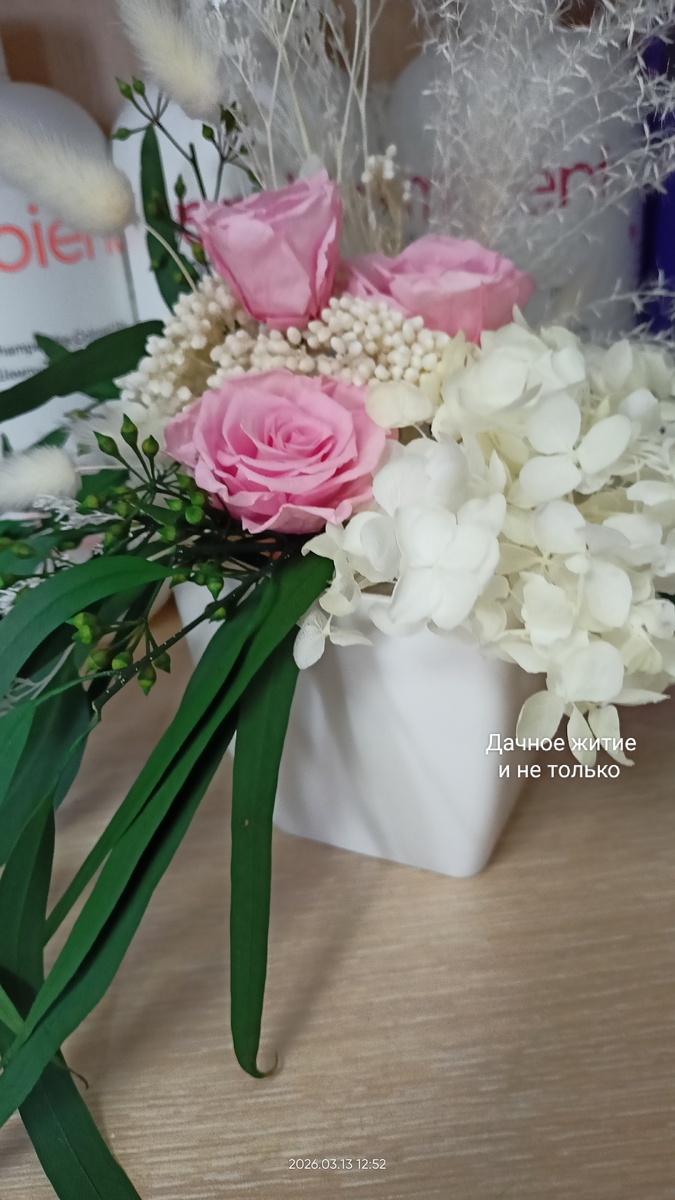 Стабилизированные цветы. Фото автора