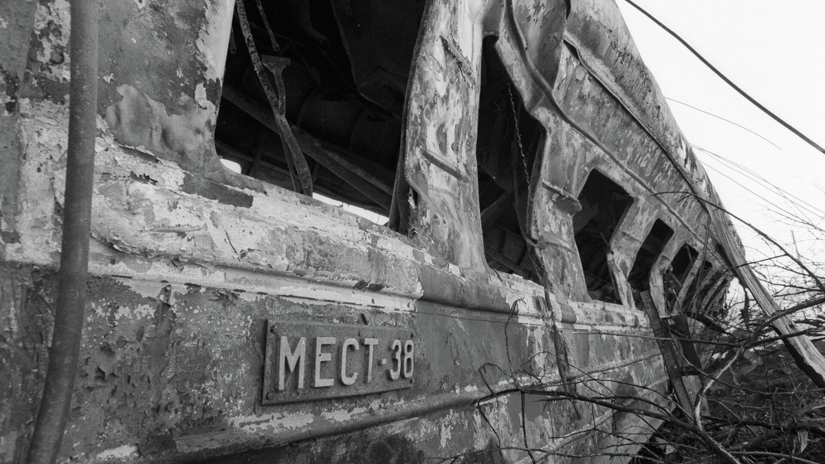 Фото из свободных источников.