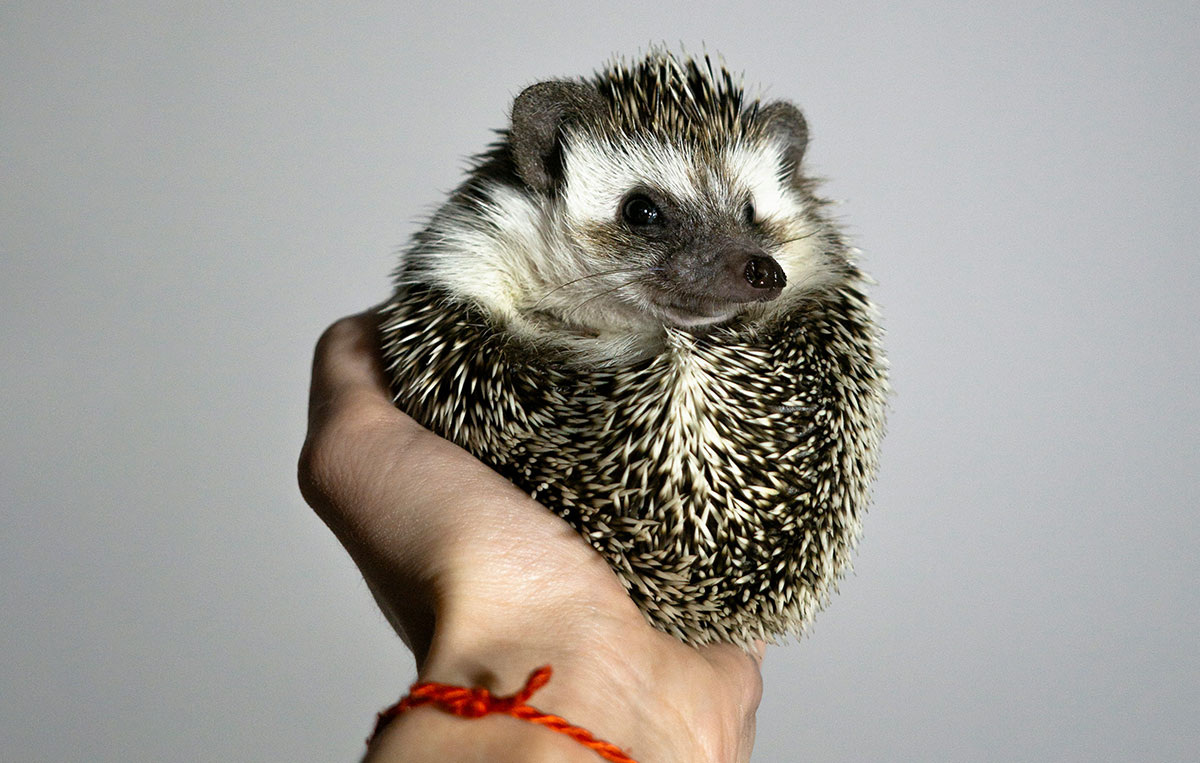 Lívia Galeková / Unsplash