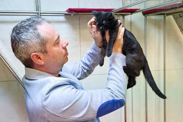    Источник: lenta.ru/ Филипп Щербаков