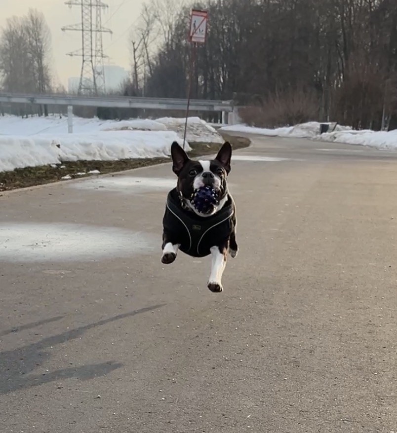 Лечу на крыльях любви 😍