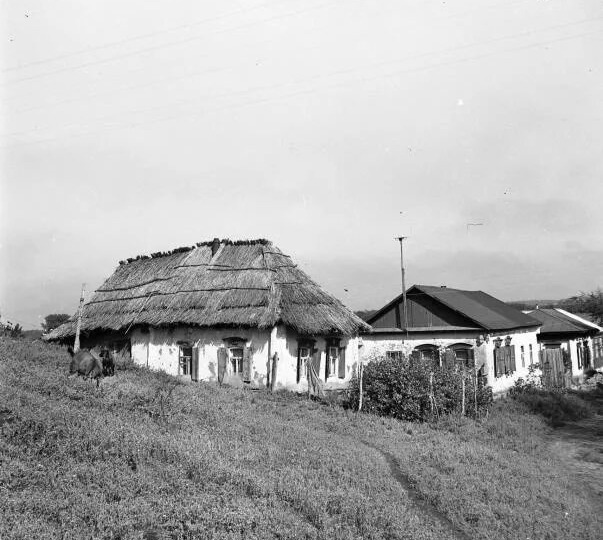 ОТВЕРЖЕННЫЙ...