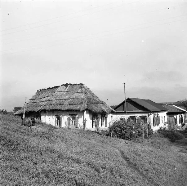 Взято из открытых источников интернета Яндекс.