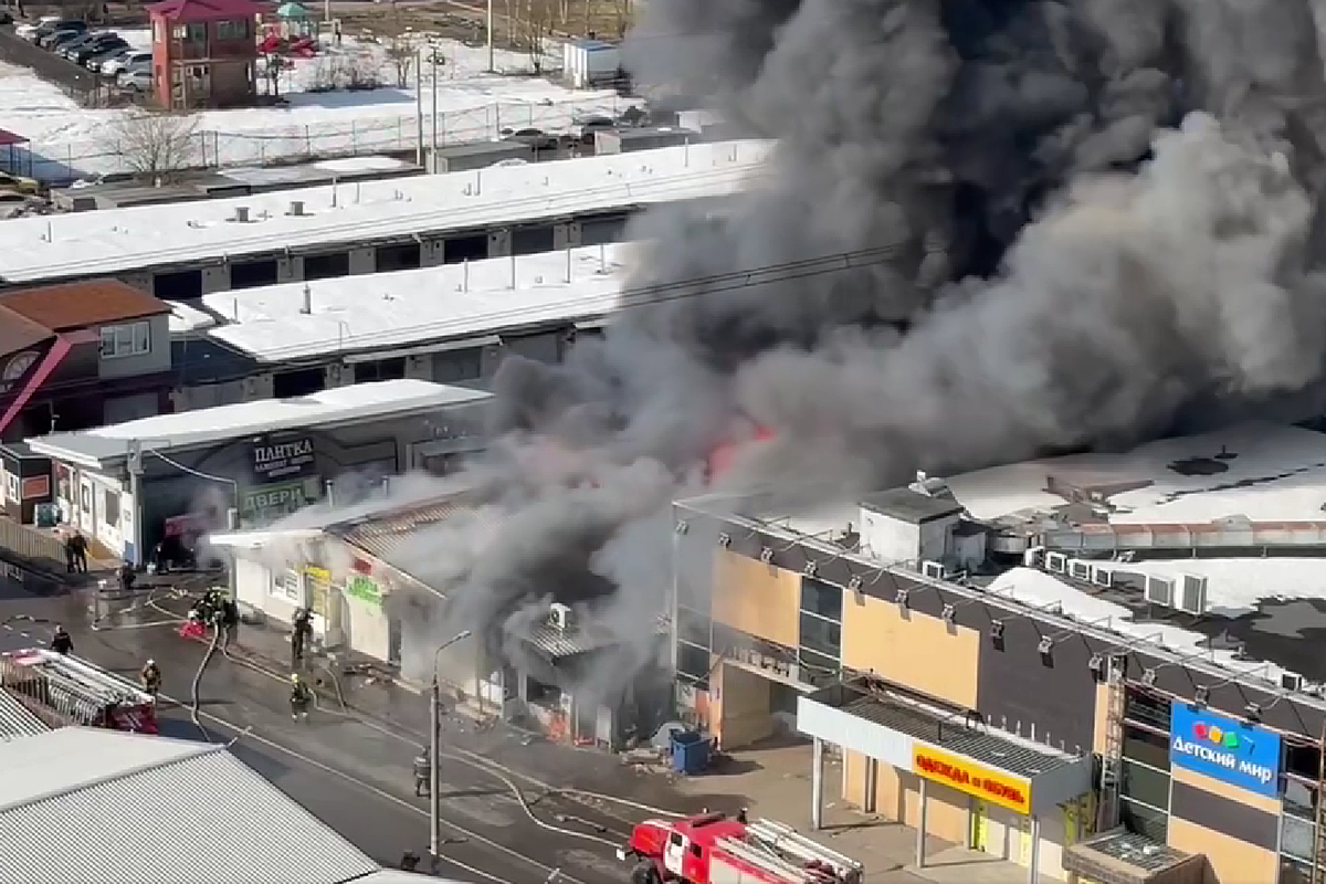     / Источник: © Соцсети. Кадр из видео