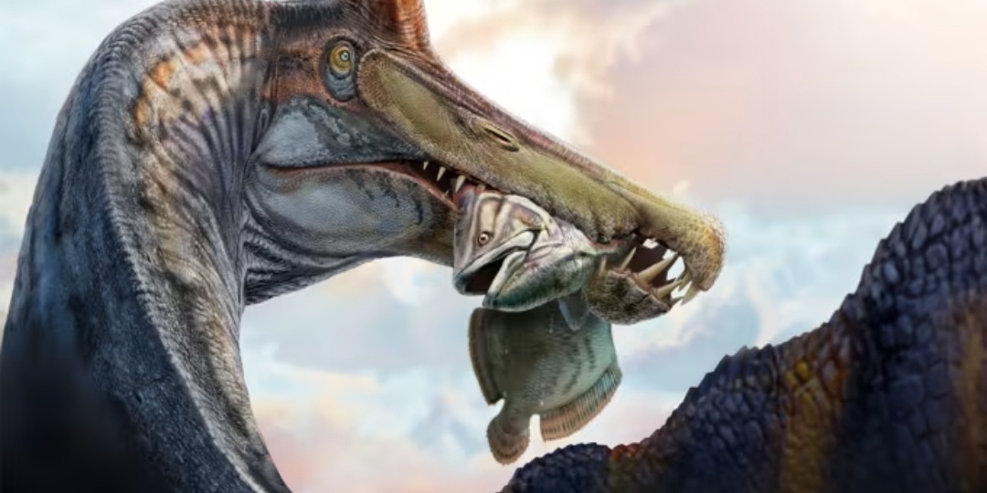 Адская цапля, которую от нас скрывали 100 лет: новый динозавр переворачивает всё, что вы знали