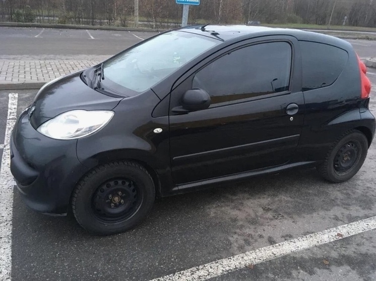     Фото УМВД России по Курской области