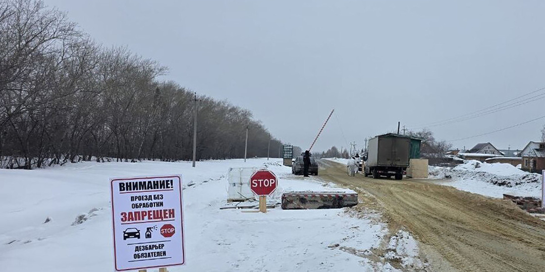 Подмосковные фермеры усомнились в существовании инфекции, из-за которой режут скот в Сибири