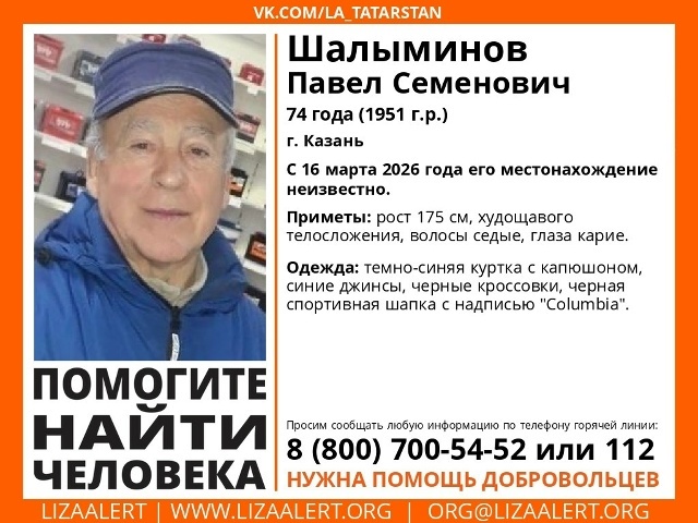    «Лиза Алерт»